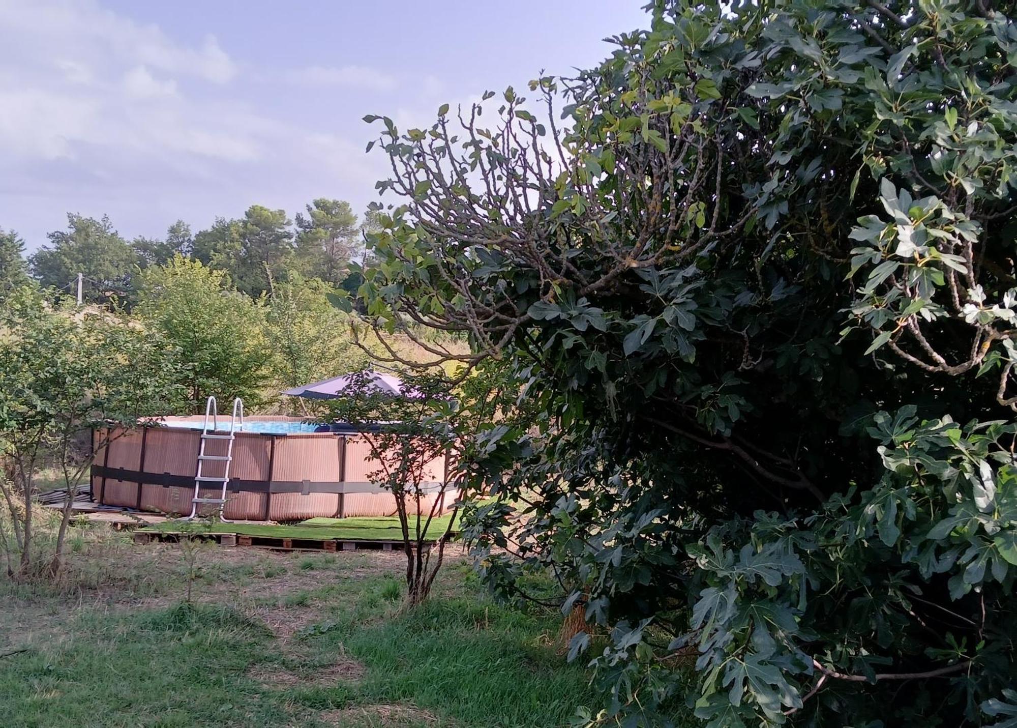 Villa Des Arnoux Dans La Vigne Draguignan Bagian luar foto